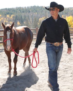 Men’s Solid Arenaflex? Button-Down Western Shirt